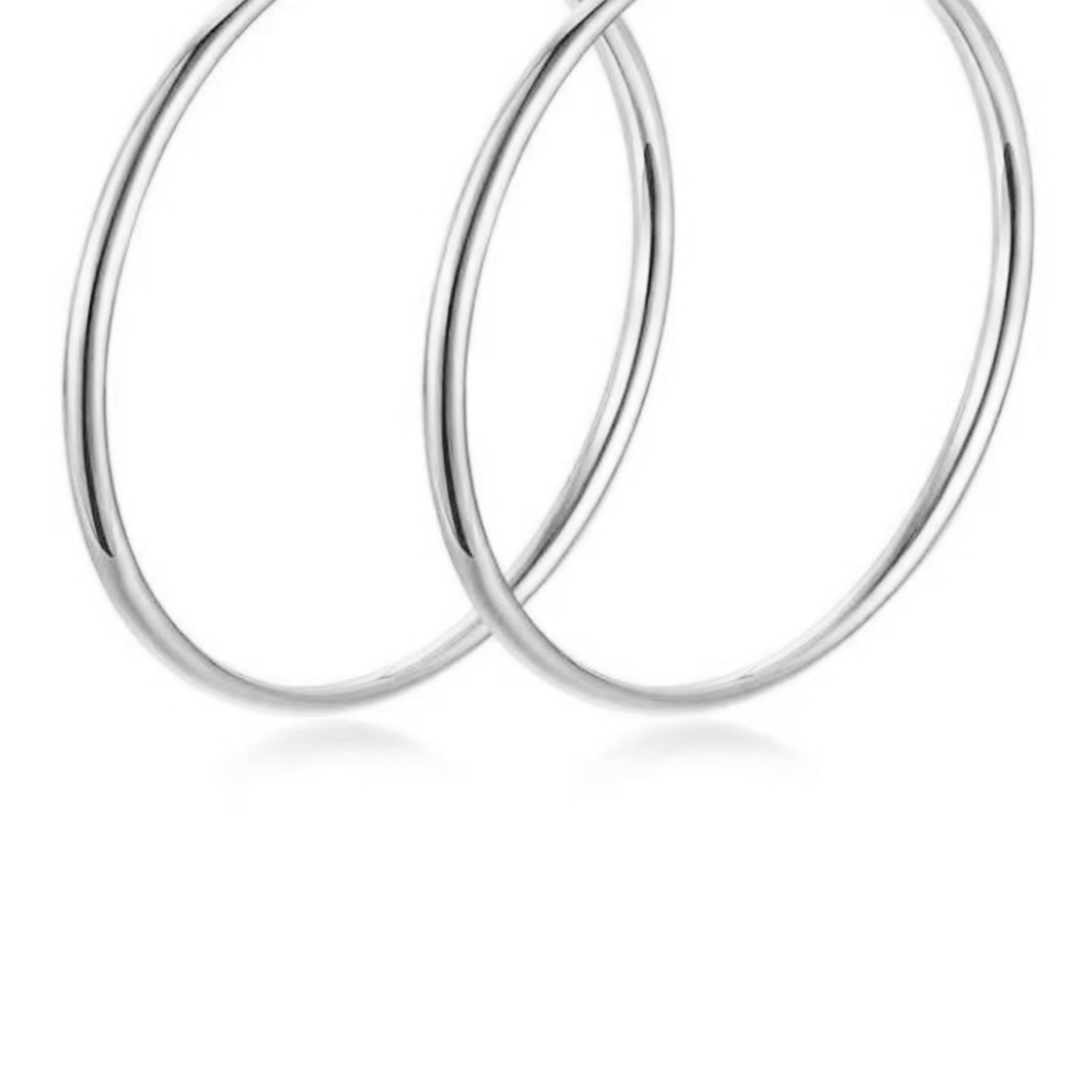 Stainless Steel Hoop Earrings E3890